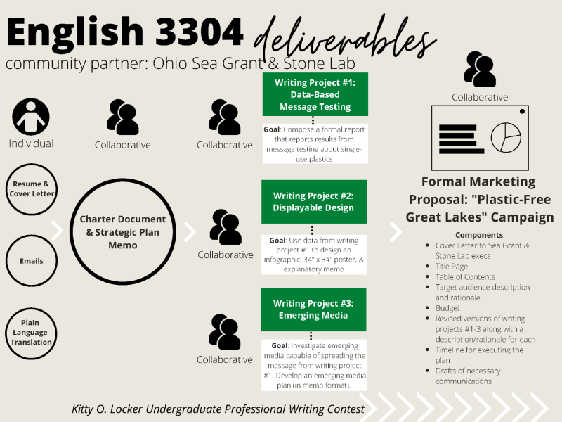 English 3304 Assignment Infographic