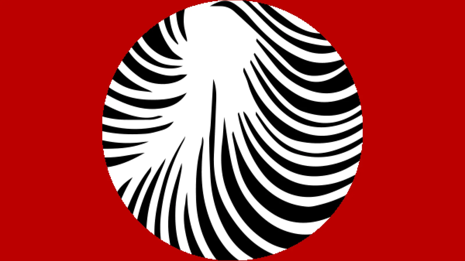 Abstract black and white circle on a red background