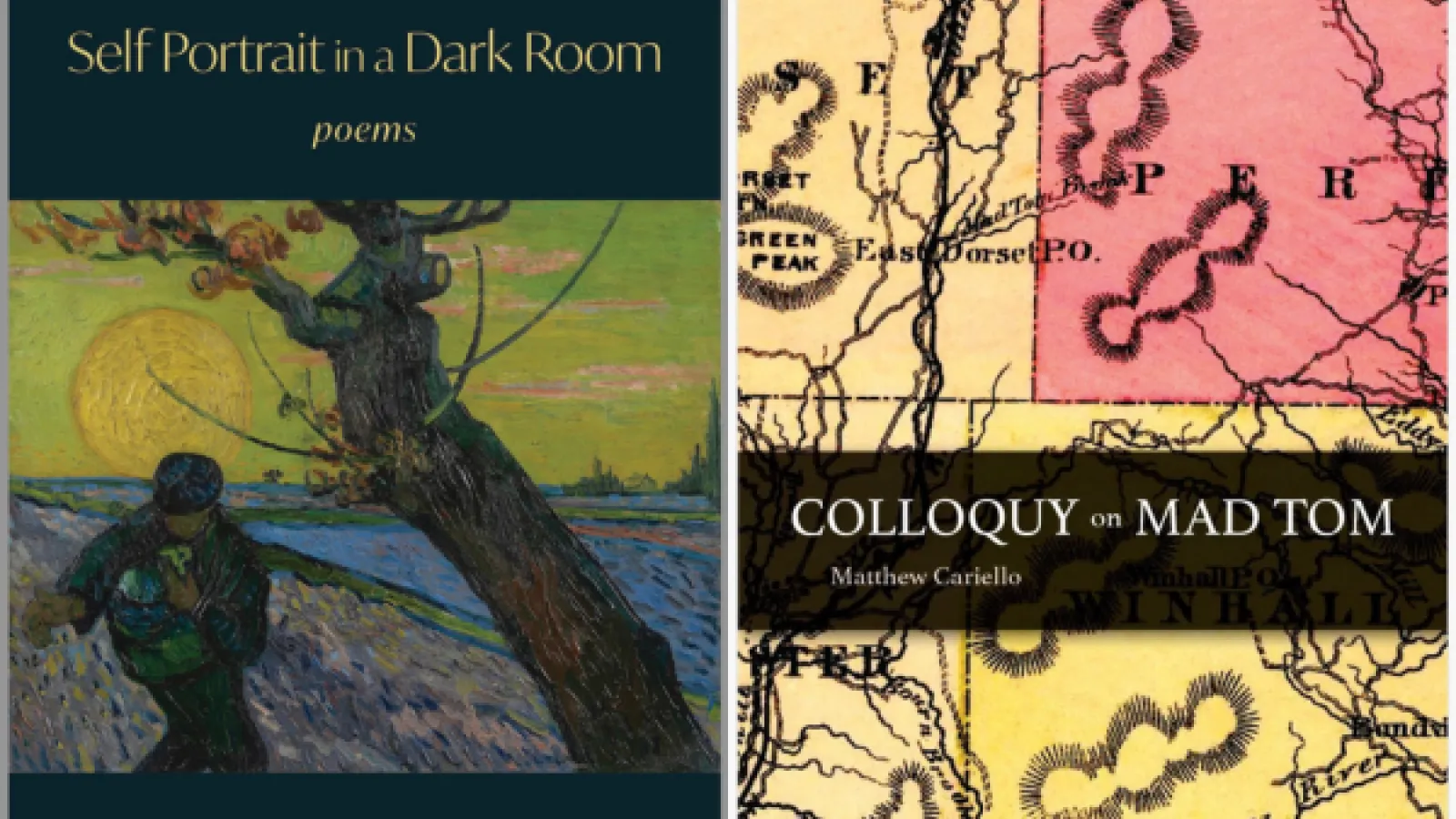 Covers of Cariello's two poetry collections: "Self Portrait in the Dark" and "Colloquy on Mad Tom" 