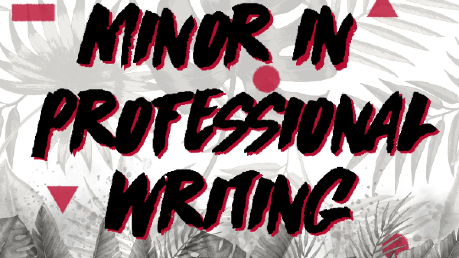 "Minor in Professional Writing" in bold, graphic text