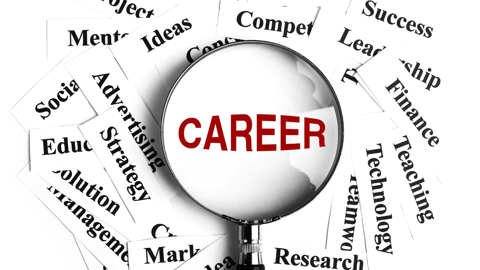 A magnifying glass over the word "career"