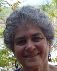 Susan Lanser