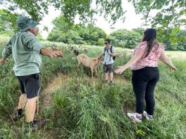 A student records a session of "goat qi gong" with two people and a goat 