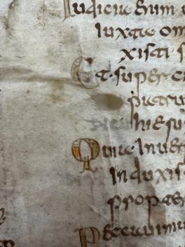  Detail of the manuscript, showing C and Q initials decorated with fish. 