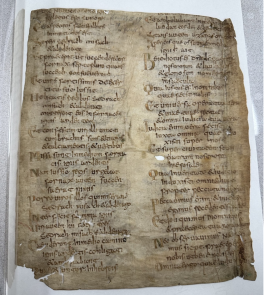 The full manuscript 