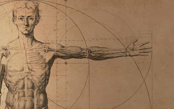 A historical photo of anatomy