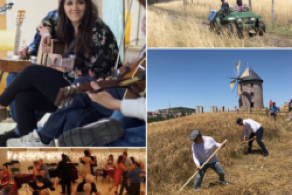 Students conducting different types of fieldwork