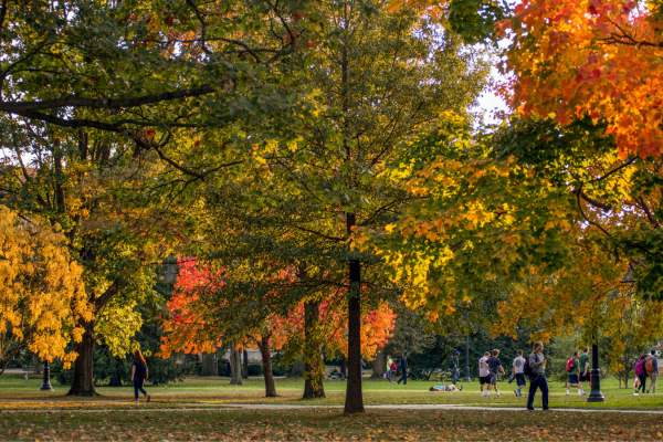 Oval in autumn