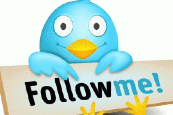Graphic of a blue bird holding a sign that reads "follow me"