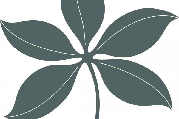 Grey Leaf with Buckeyes Grey Leaf with Buckeyes