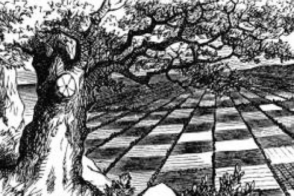 Linedrawing of a large leafy tree with a checkerboard landscape in the background