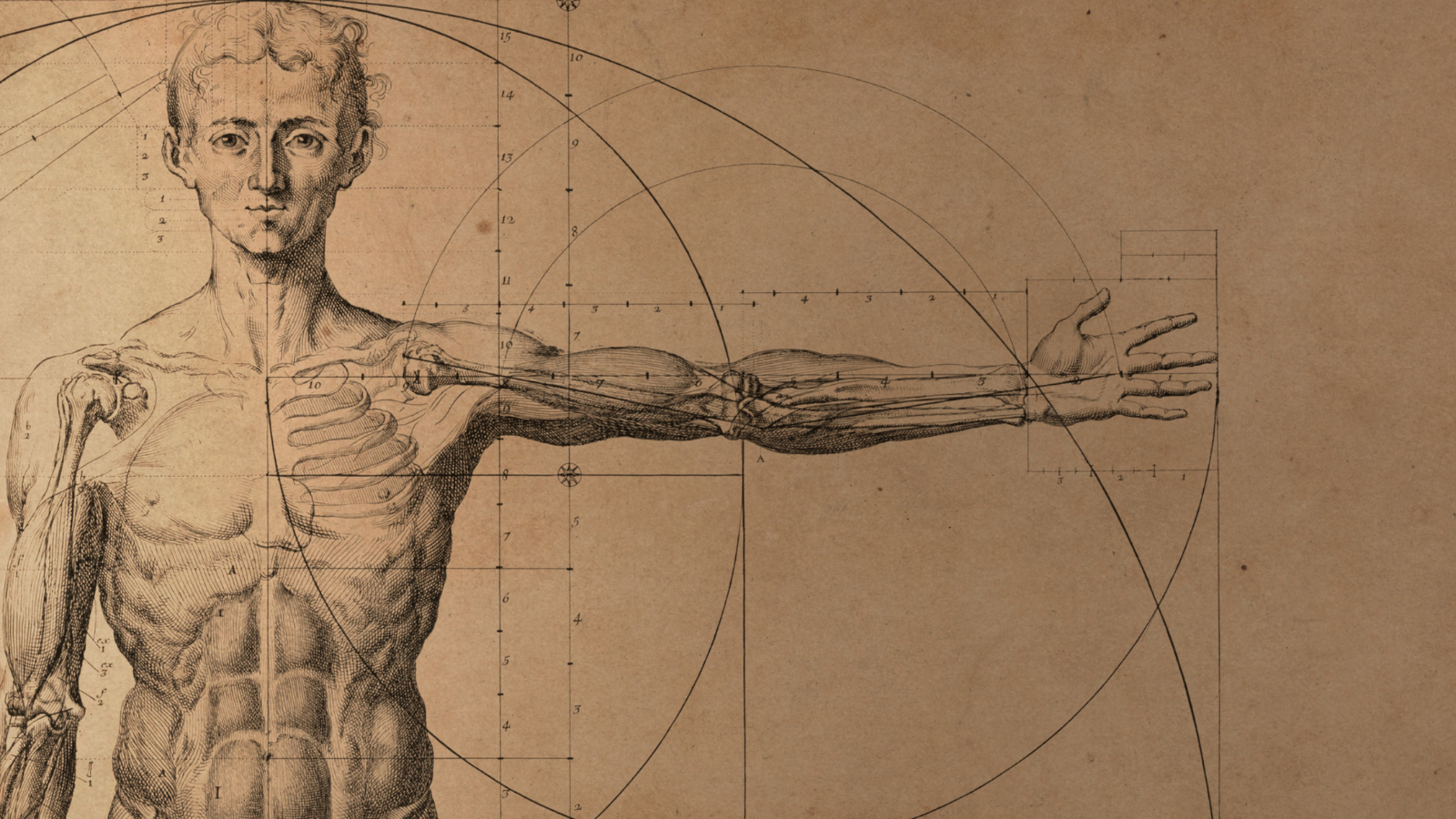 A historical photo of anatomy