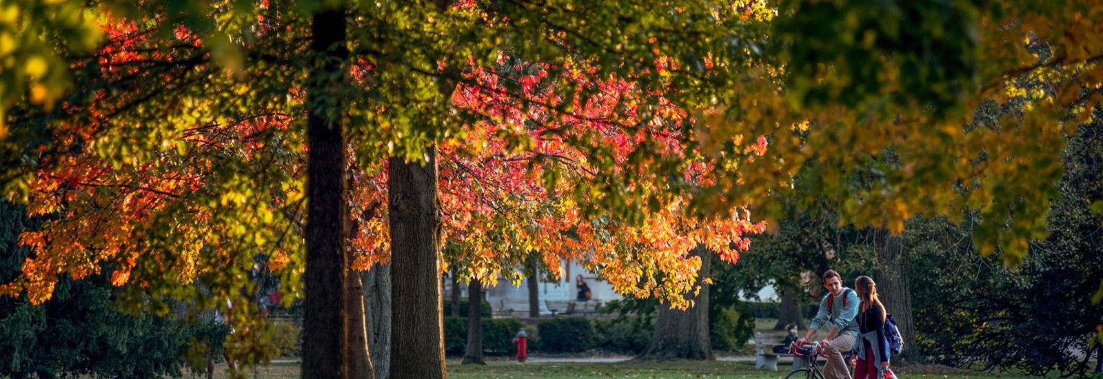 Two students stroll across the Oval, framed by red and gold autumn leaves in the trees and on the ground