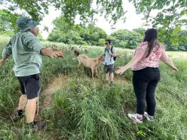 A student records a session of "goat qi gong" with two people and a goat 