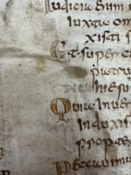  Detail of the manuscript, showing C and Q initials decorated with fish. 