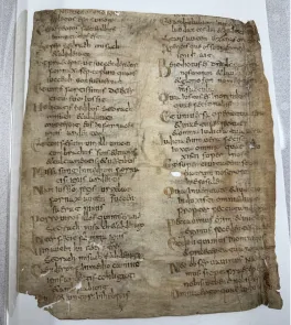 The full manuscript 